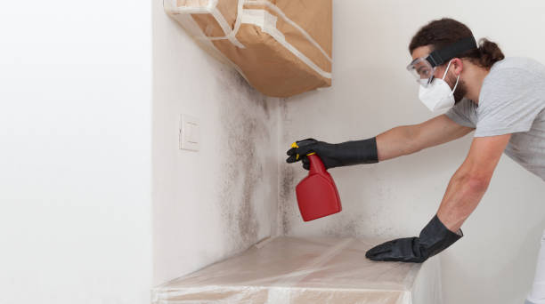 Professional Attic Mold Remediation technician working in Hamel, MN